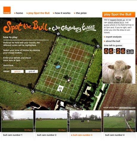 Orange: Spot the Bull